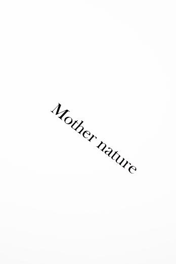 ТЕРМОТРАНСФЕР №13 MOTHER NATURE 1,2* 9